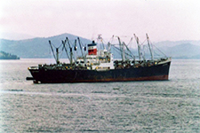 Phu Quoc Incident, Vietnam evacuation 1975