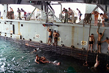 Swim Call