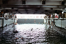 Swim Call
