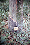 1972 Singapore