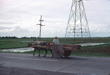 Philippine islands - Bagio in the hills of Luzon island