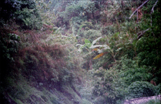 Philippine islands - Bagio in the hills of Luzon island