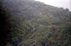 Philippine islands - Bagio in the hills of Luzon island