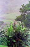 Philippine islands - Bagio in the hills of Luzon island