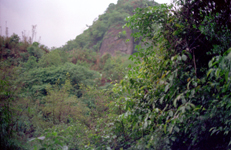 Philippine islands - Bagio in the hills of Luzon island