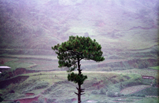 Philippine islands - Bagio in the hills of Luzon island