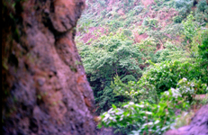 Philippine islands - Bagio in the hills of Luzon island