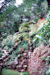 Philippine islands - Bagio in the hills of Luzon island