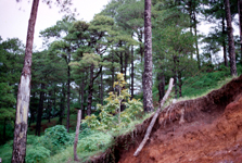 Philippine islands - Bagio in the hills of Luzon island