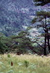 Philippine islands - Bagio in the hills of Luzon island