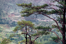 Philippine islands - Bagio in the hills of Luzon island