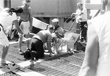 Shell Back, Crossing the Equator