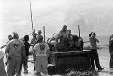 Shell Back, Crossing the Equator