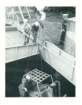 cb196806_small.jpg