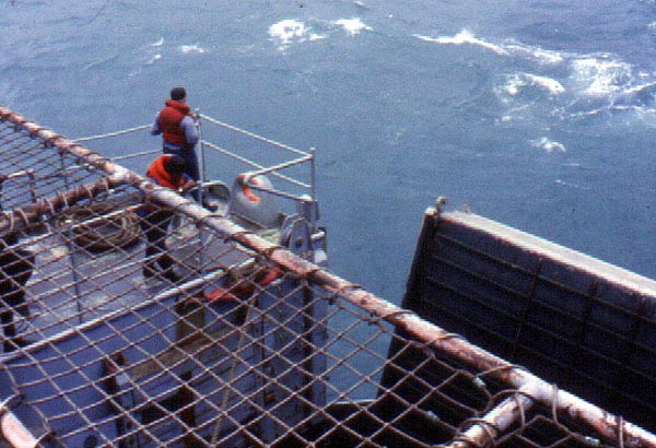 USS Thomaston LSD-28 Image